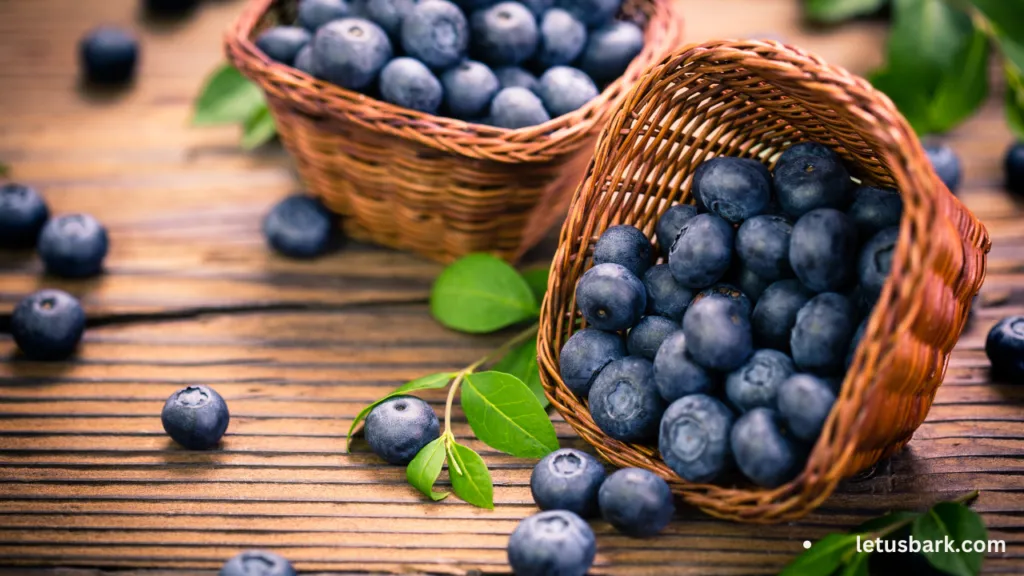 Are Blueberries Safe and Beneficial for Dogs to Eat