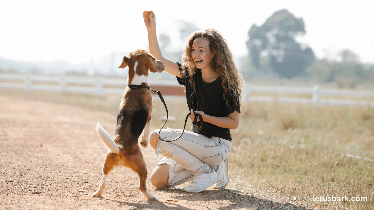 Struggling with Dog Training? Learn the 5 Tips to Make It Easier