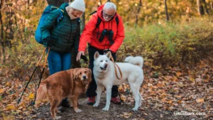 Effective Crate Training for Older Dogs with Separation Anxiety: Expert Tips