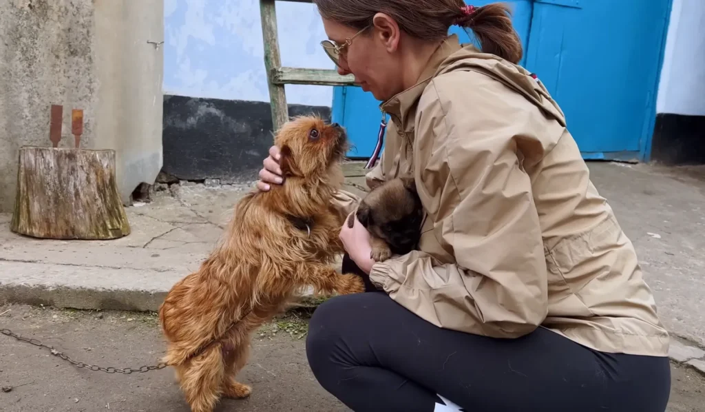 We Rescued a Dog and her Puppy Chained in an Abandoned House