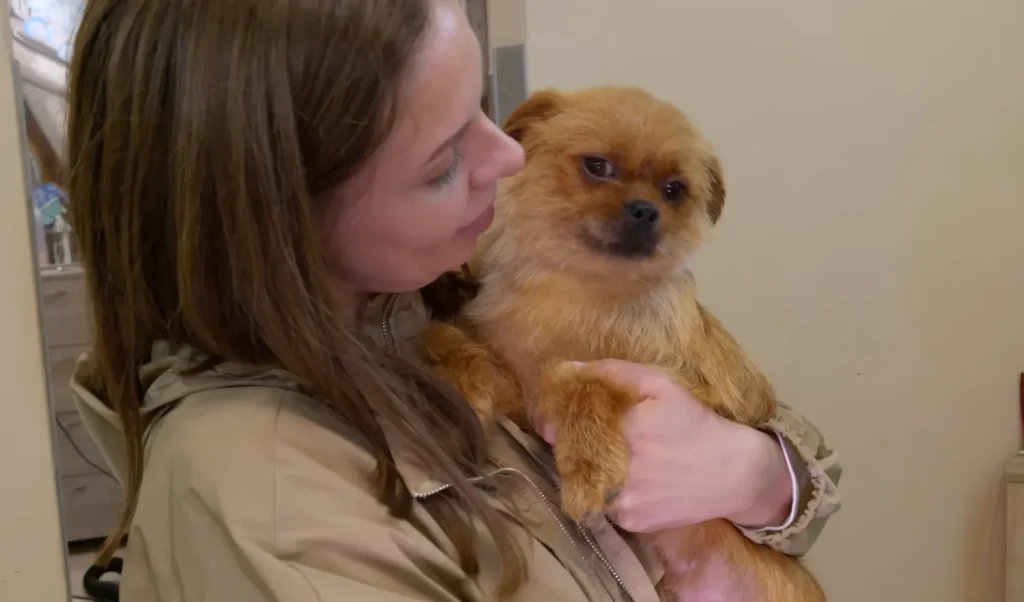 We Rescued a Dog and her Puppy Chained in an Abandoned House