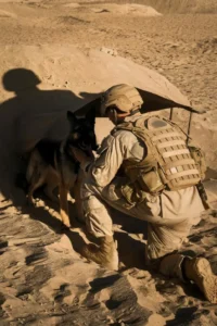 50+ Heart-Touching Military Dog Images