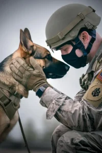 50+ Heart-Touching Military Dog Images