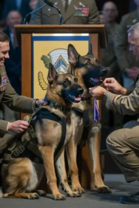 50+ Heart-Touching Military Dog Images