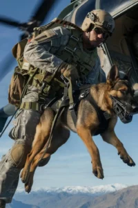 50+ Heart-Touching Military Dog Images