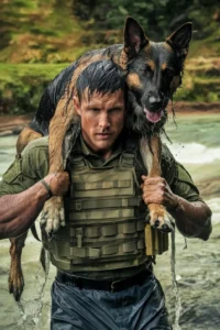 50+ Heart-Touching Military Dog Images