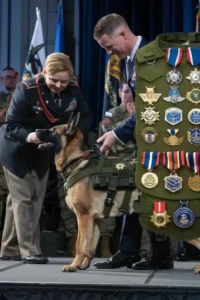 50+ Heart-Touching Military Dog Images