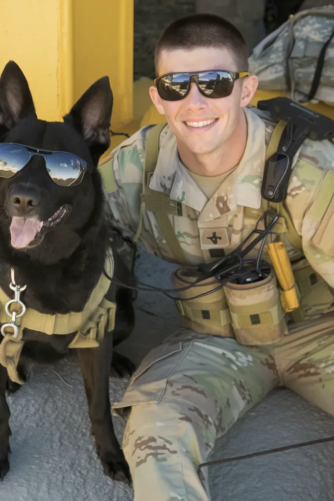 50+ Heartwarming Images of Military Dogs and Soldiers: A Tribute to Loyalty and Courage