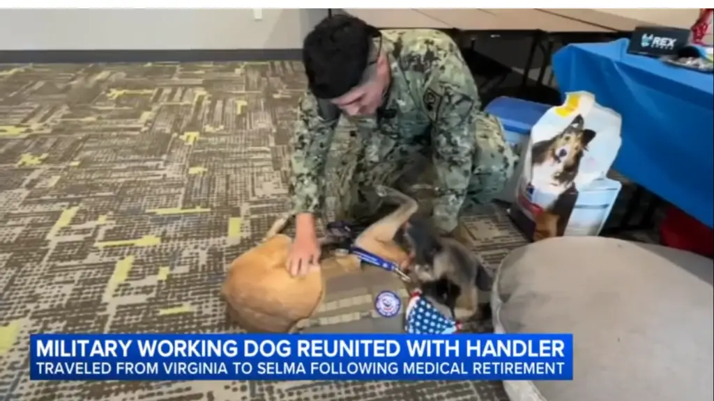 Handler and Military Service Dog Reunite After a Year-Long Separation