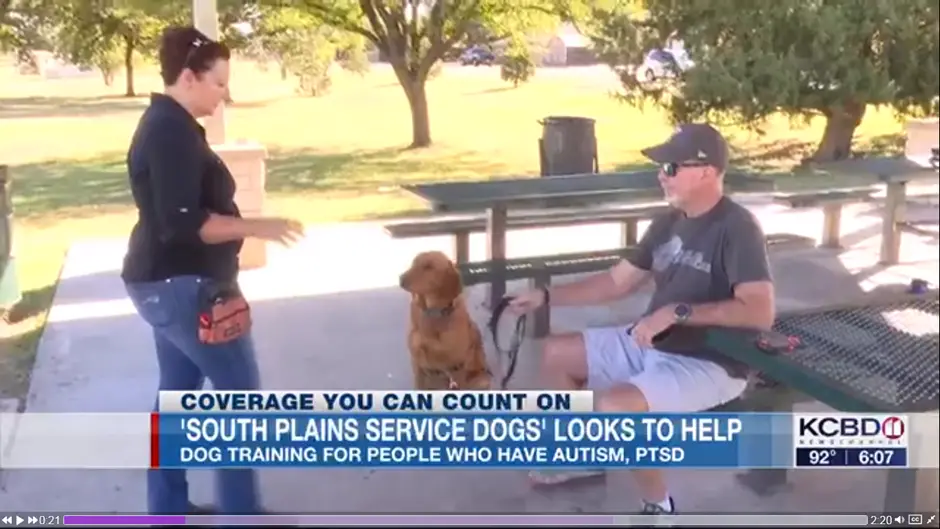 Empowering Lives: South Plains Service Dogs Offers Comprehensive Training in the Texas Panhandle