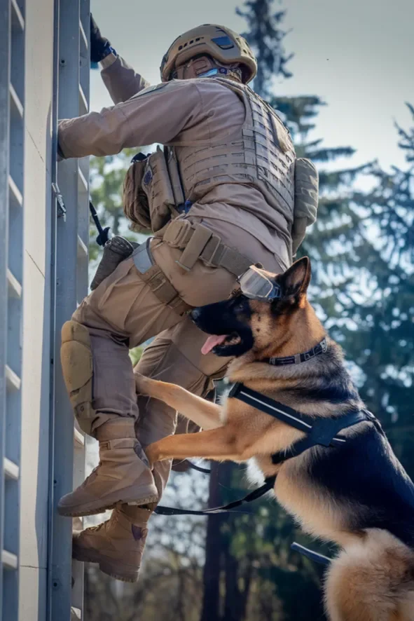 24+ Images of the Powerful Relationship Between a Soldier and His Dog