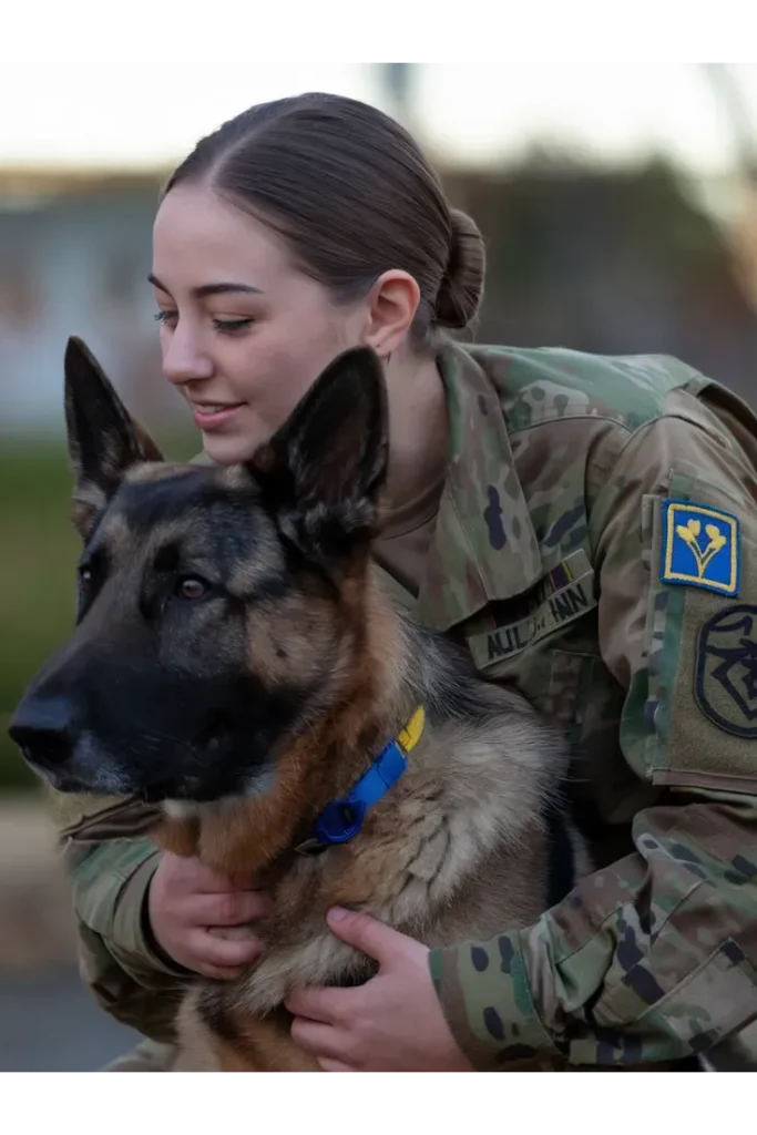 27+ Heartwarming Images of the Unbreakable Bond Between a Soldier and His Dog