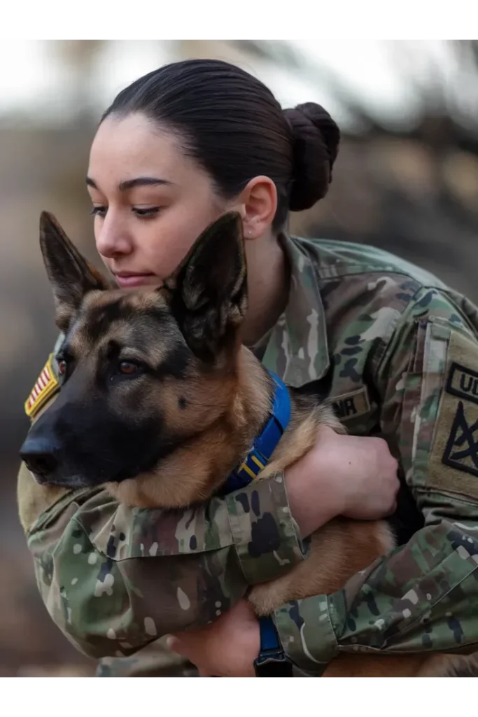 27+ Heartwarming Images of the Unbreakable Bond Between a Soldier and His Dog