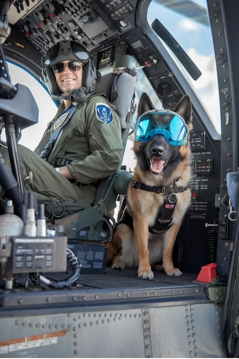 30+ Heartwarming Images of the Unbreakable Bond Between a Soldier and His Dog