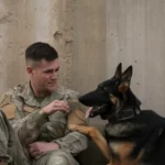 30+ Images of "Unbreakable Bond: Soldier and Dog" That Will Melt Your Heart