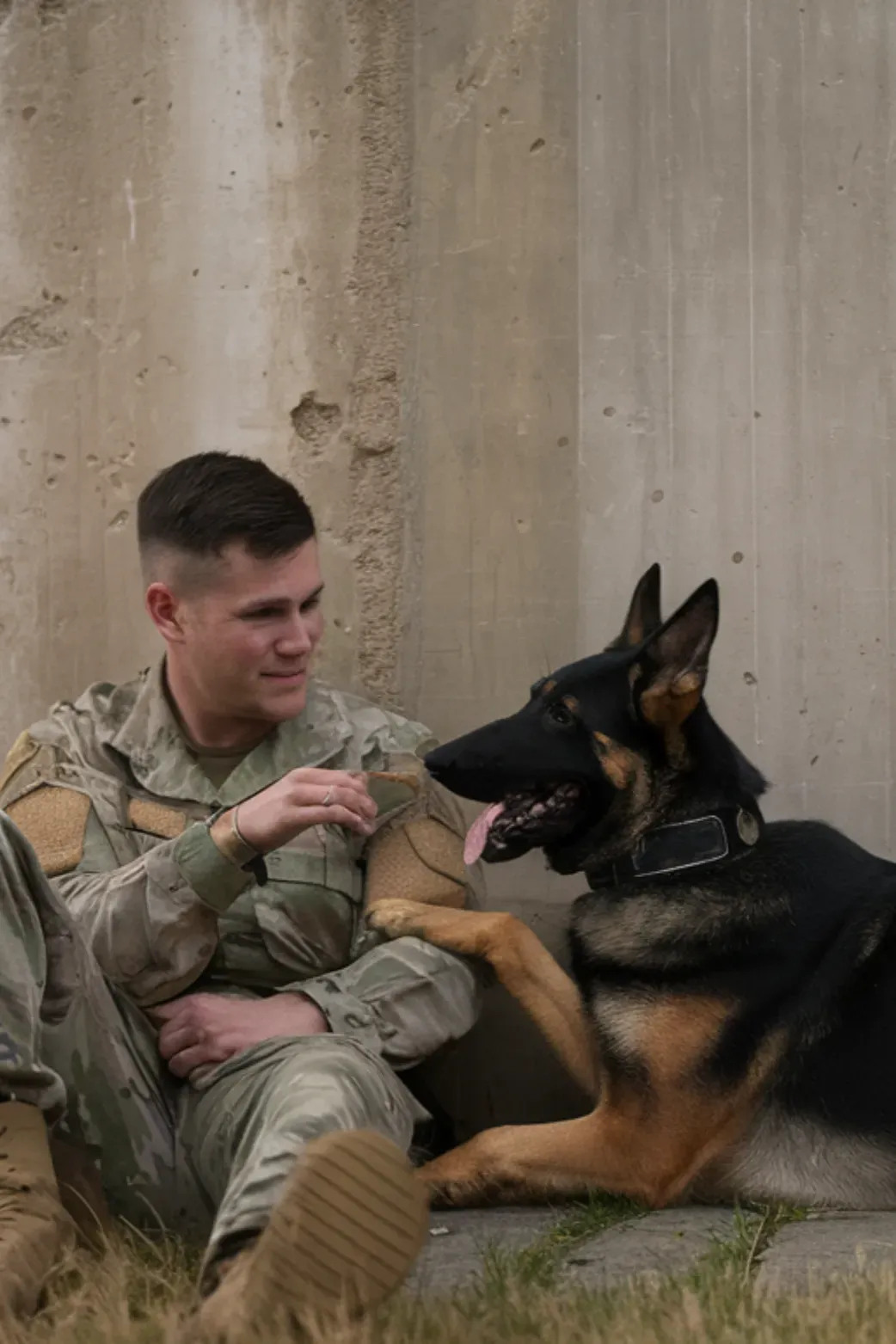 30+ Images of "Unbreakable Bond: Soldier and Dog" That Will Melt Your Heart