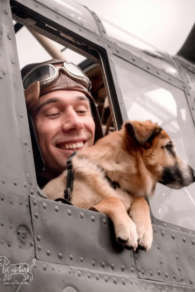 30+ Images of "Unbreakable Bond: Soldier and Dog" That Will Melt Your Heart