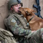 24+ Images That Capture the Bond Between Soldiers and Their Dogs