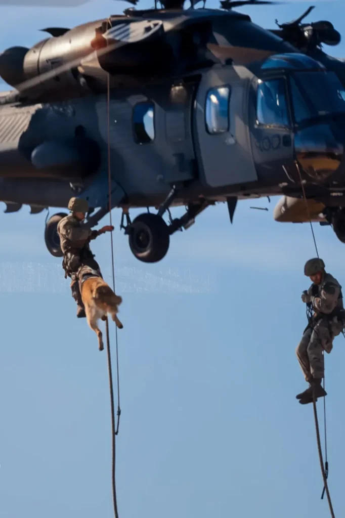 24+ Images: Heartwarming Bond Between Soldiers and Their Loyal Dogs