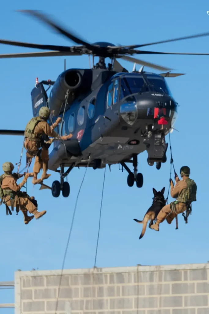 24+ Images: Heartwarming Bond Between Soldiers and Their Loyal Dogs