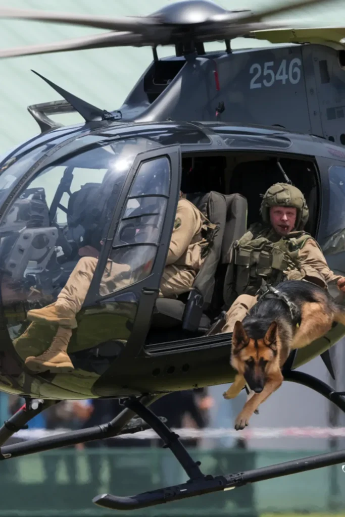 24+ Images: Heartwarming Bond Between Soldiers and Their Loyal Dogs