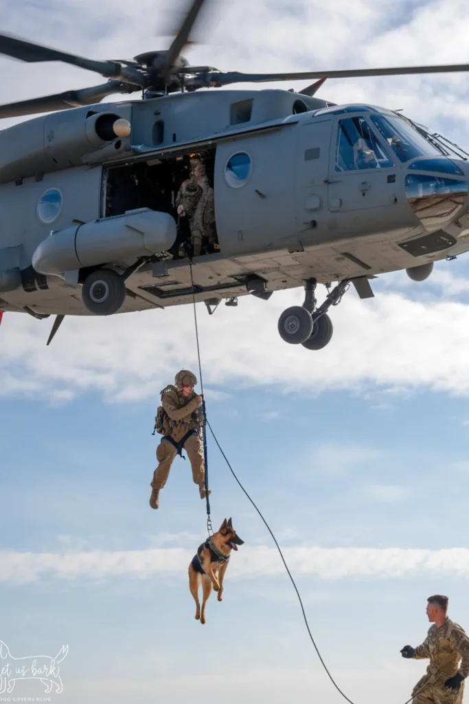 24+ Images: Heartwarming Bond Between Soldiers and Their Loyal Dogs