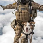 24+ Images of Soldier-Dog Partnerships in Action That Showcase Loyalty and Bravery