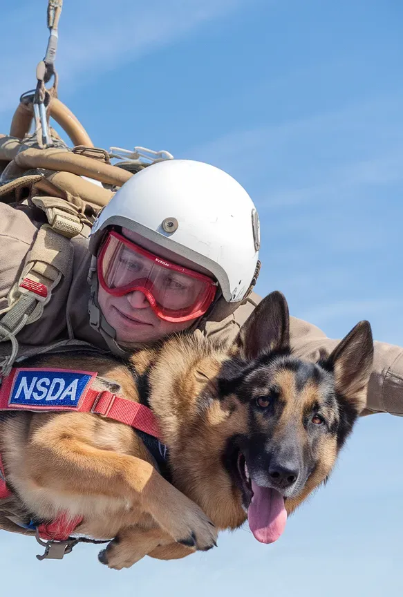 24+ Images of Soldier-Dog Partnerships in Action That Showcase Loyalty and Bravery