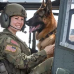 24+ Images of Soldiers and Dogs Sharing Quiet Moments of Peace and Connection