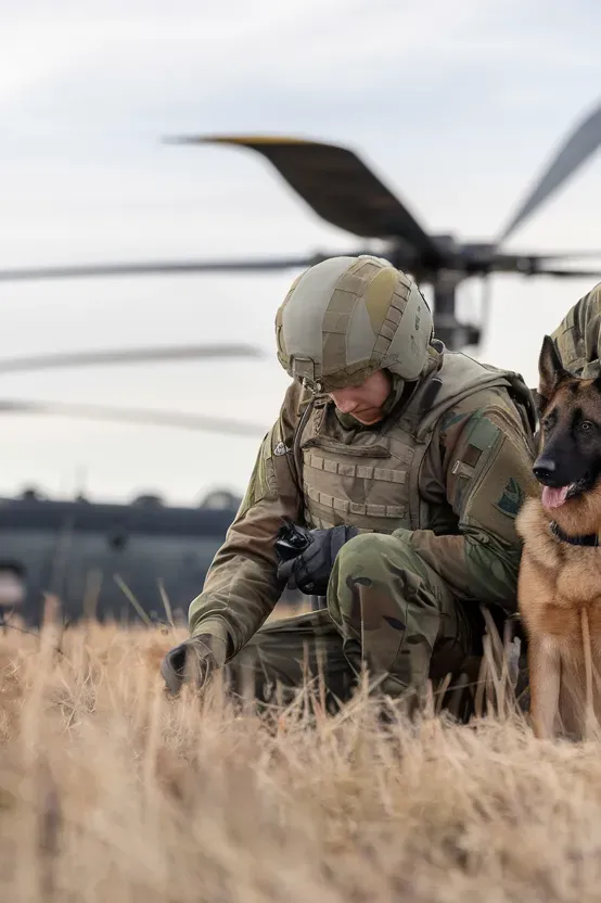 24+ Images of Soldiers and Dogs Sharing Quiet Moments of Peace and Connection