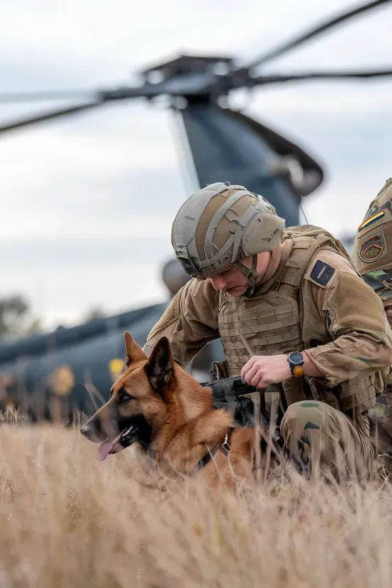 24+ Images of Soldiers and Dogs Sharing Quiet Moments of Peace and Connection