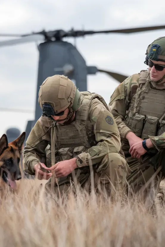 24+ Images of Soldiers and Dogs Sharing Quiet Moments of Peace and Connection