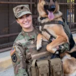 24+ Images of Loyalty in Action: Military Dogs and Their Handlers