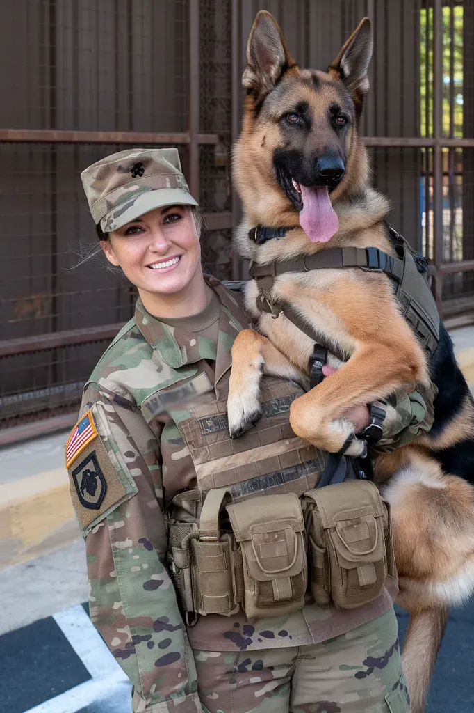 24+ Images of Loyalty in Action: Military Dogs and Their Handlers