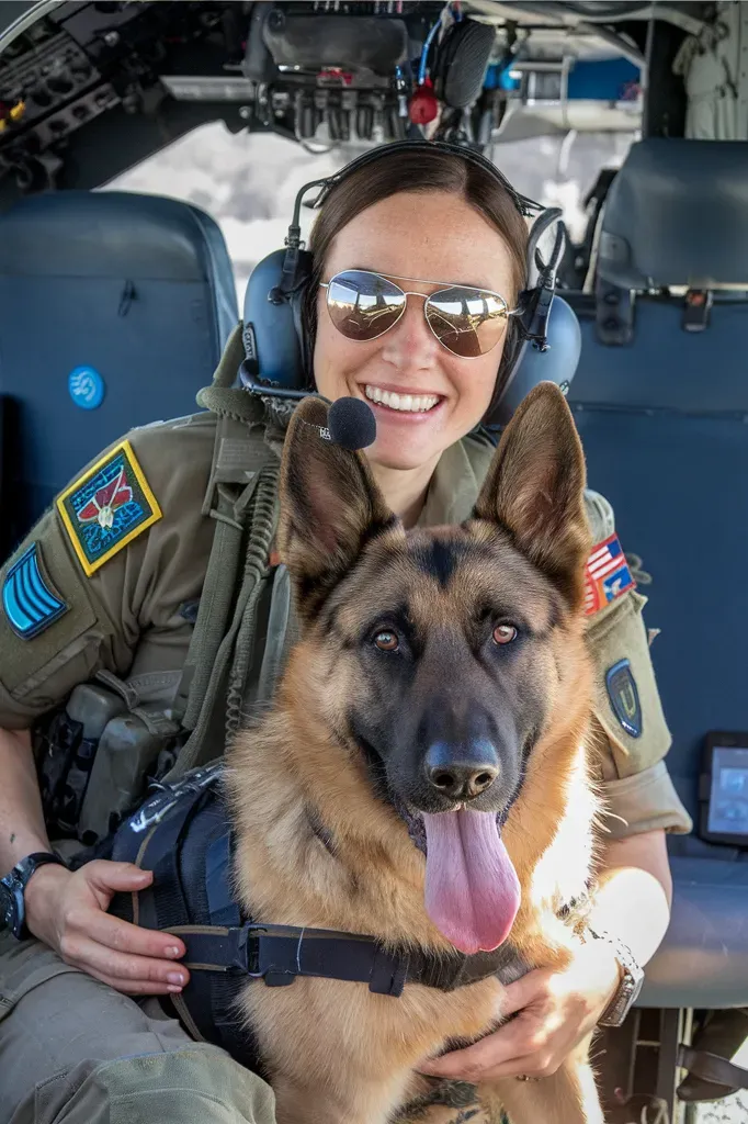 24+ Images of Soldiers and Dogs: Partners in Peace and War