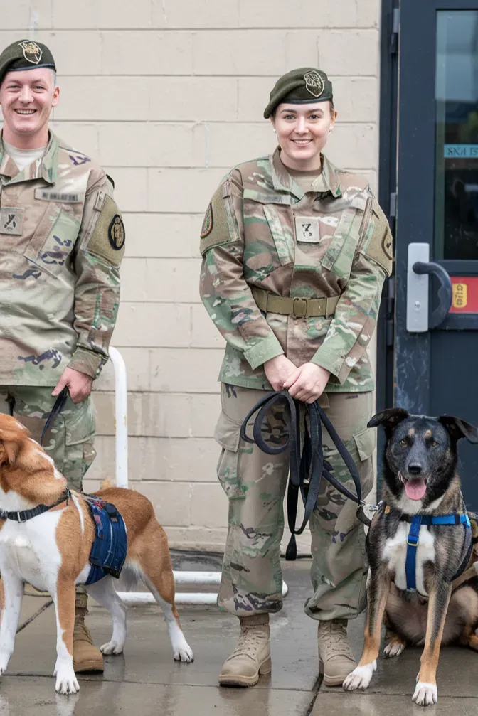 24+ Images of Soldiers and Dogs: Bonds Forged in Battle