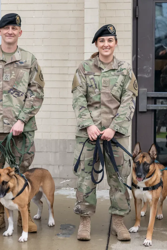 24+ Images of Soldiers and Dogs: Bonds Forged in Battle