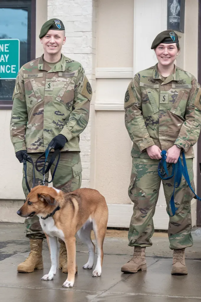 24+ Images of Soldiers and Dogs: Bonds Forged in Battle