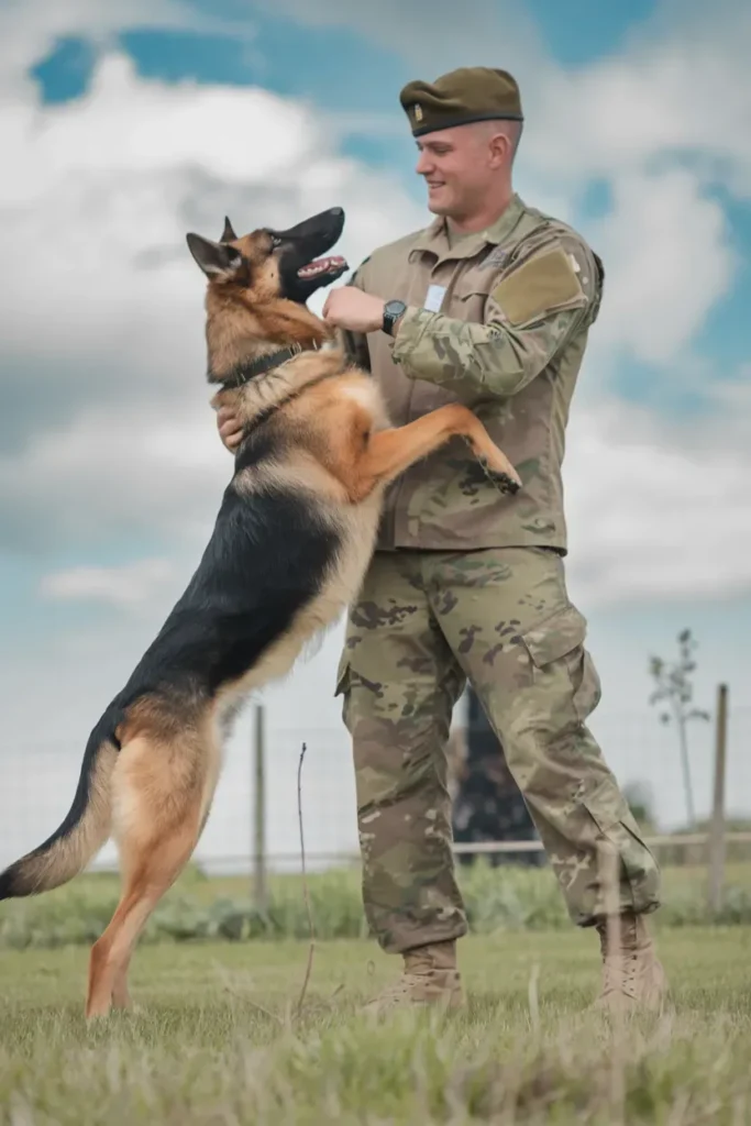 24+ Images of Soldiers and Dogs: Bonds Forged in Battle