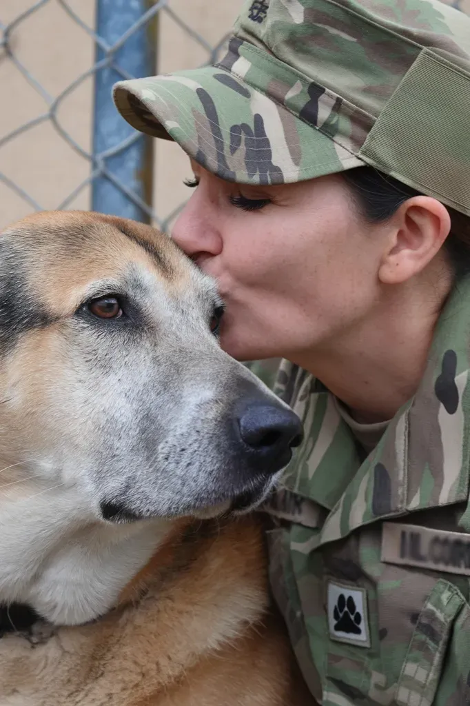 24+ Images of Soldiers and Dogs: Bonds Forged in Battle