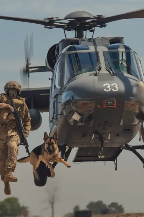 24+ Images of Dogs and Soldiers Sharing Courage Under Fire