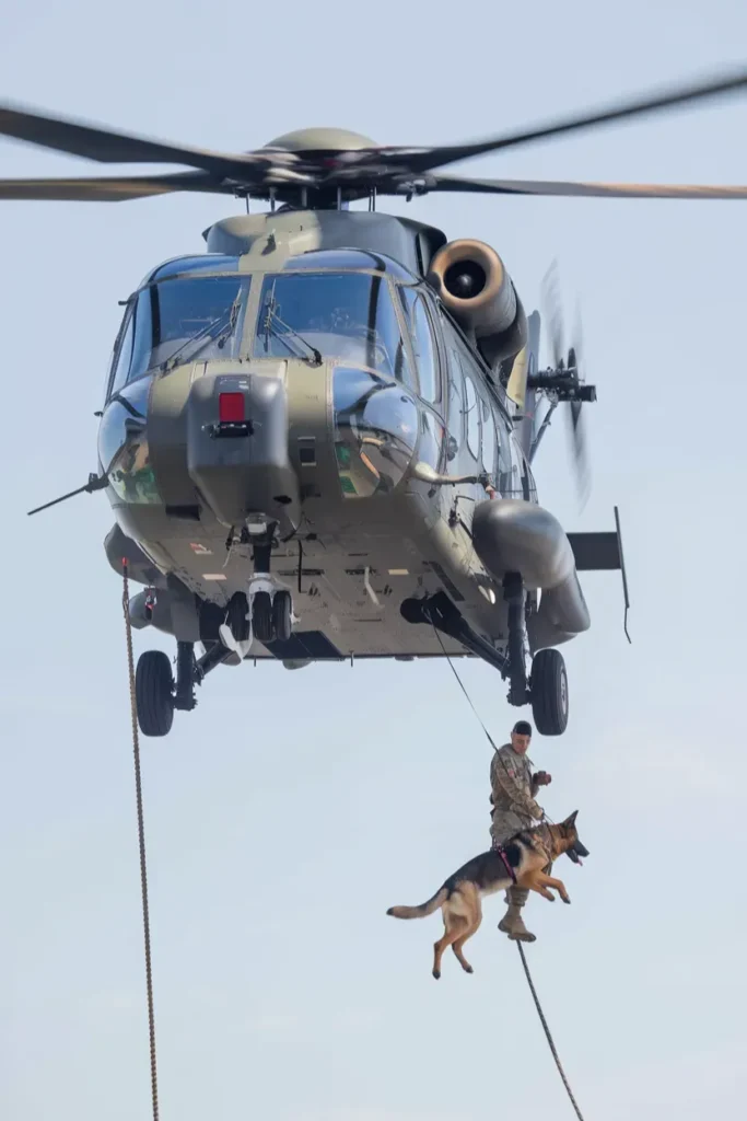 24+ Images of Dogs and Soldiers Sharing Courage Under Fire