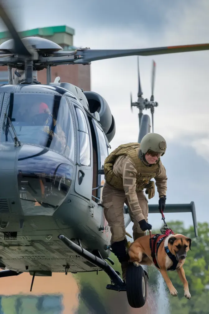 24+ Images of Dogs Giving Soldiers Strength Through Loyalty