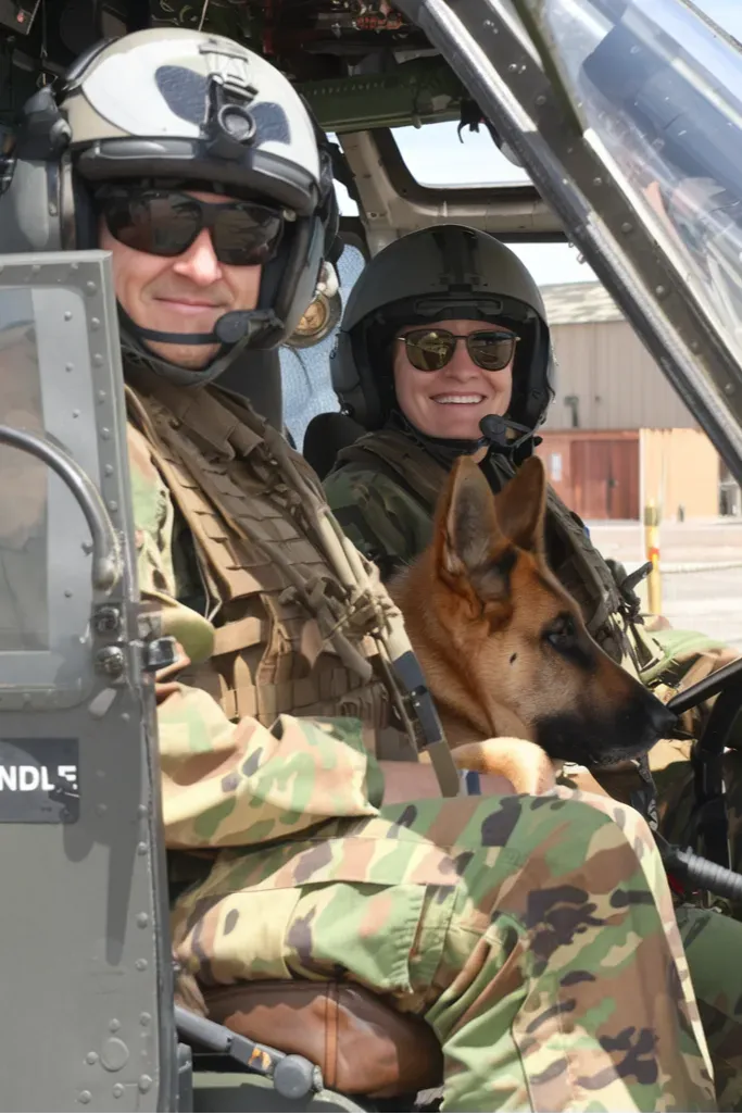 24+ Images of Soldiers and Dogs Sharing Moments of Pure Loyalty