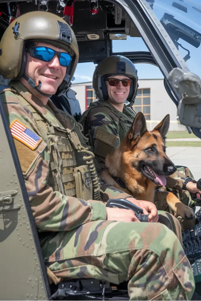 24+ Images of Soldiers and Dogs Sharing Moments of Pure Loyalty