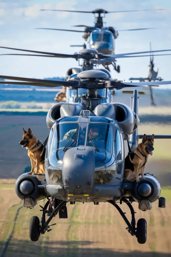 24+ Images of Soldiers and Dogs Sharing Moments of Pure Loyalty