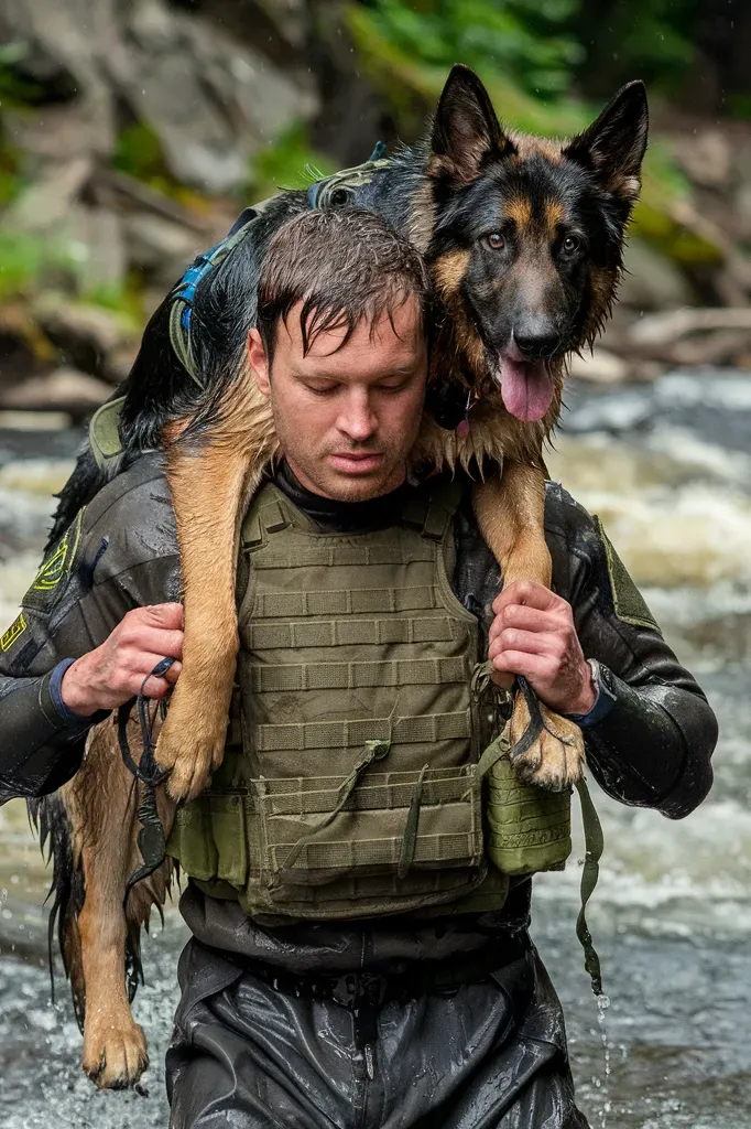 24+ Images of Soldiers and Dogs Marching Forward Together: A Tribute to Loyalty and Courage