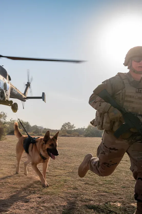 24+ Images of Soldiers and Dogs Walking a Path of Loyalty Together