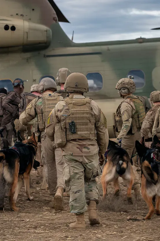 24+ Images of Soldiers and Dogs Walking a Path of Loyalty Together