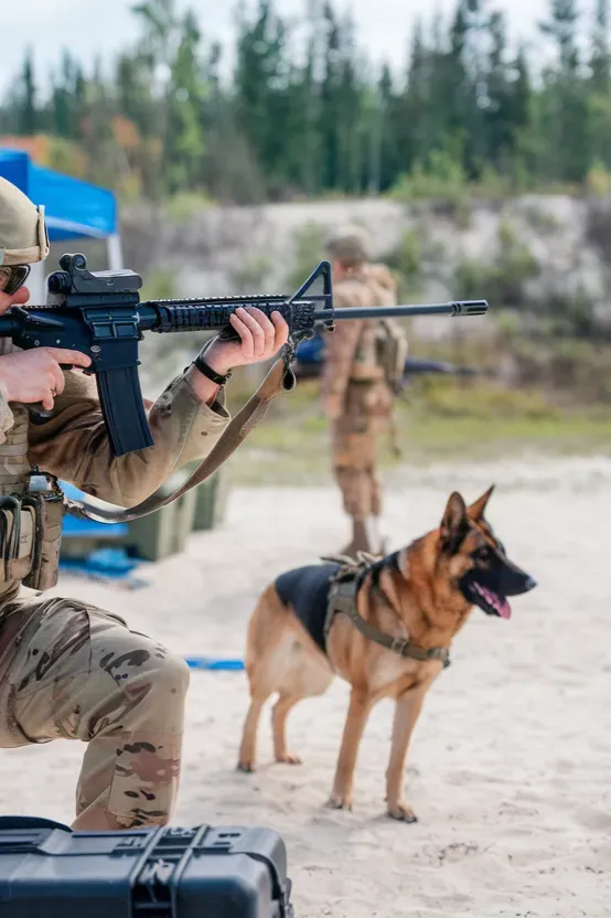 24+ Images of Dogs Who Offer Soldiers Lifelong Companionship